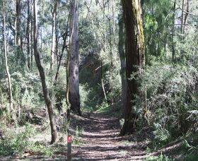 Box Vale Mine Walking Track And Lookout - Find Attractions 0