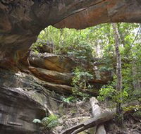 Cave Creek Walking Track - Find Attractions