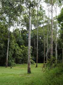 Pioneer Country Park - Find Attractions 1