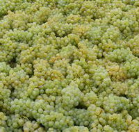 Normanby Wines - Find Attractions