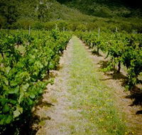 Gartelmann Wines - Find Attractions
