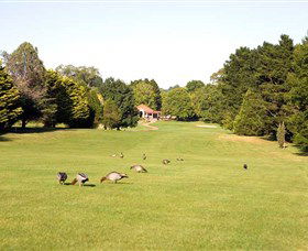 Moss Vale Golf Club - Find Attractions 2