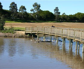 Sale Common Wetlands - Find Attractions 0