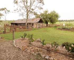 Camden Town Farm Canberra