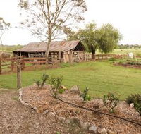 Camden Town Farm - Find Attractions