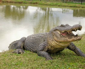 Hunter Valley Zoo - Find Attractions 1