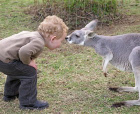 Hunter Valley Zoo - Find Attractions 3