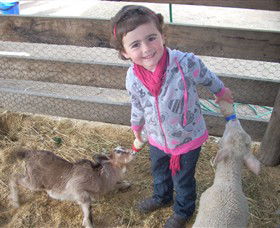 Hunter Valley Zoo - Find Attractions 4