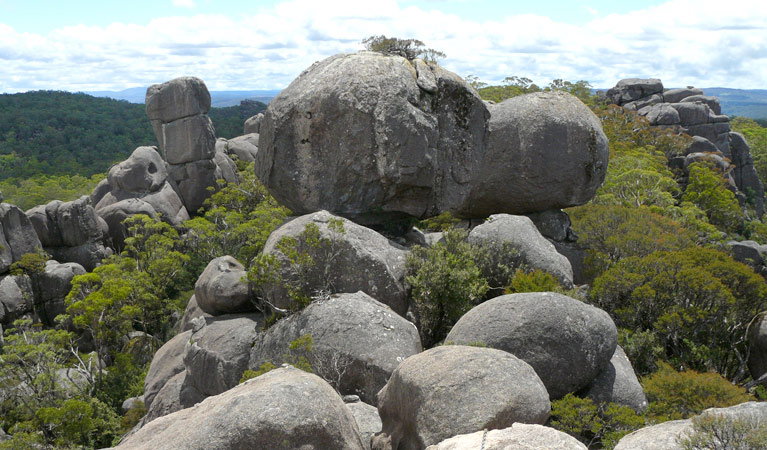 Dorrigo Mountain NSW Find Attractions