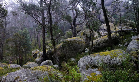 Cathedral Rock National Park - Find Attractions 2