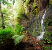 Fairy Bower Falls - Find Attractions