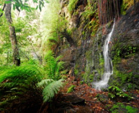 Fairy Bower Falls - Find Attractions 0
