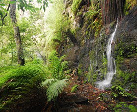 Fairy Bower Falls - Find Attractions 2