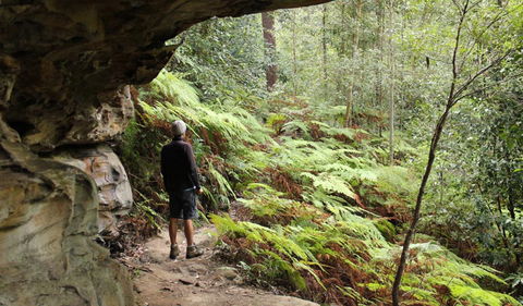 Dharug National Park - Find Attractions 0