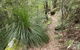 Dharug National Park - thumb 2