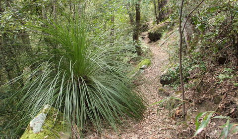 Dharug National Park - Find Attractions 2