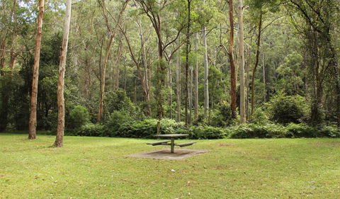 Dharug National Park - Find Attractions 3