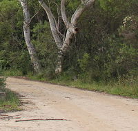 Riverview walking track - Find Attractions