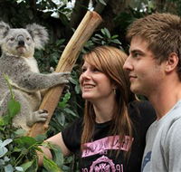Featherdale Wildlife Park - Find Attractions