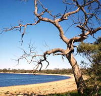 Lake Indoon - Find Attractions