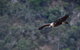 Oxley Wild Rivers National Park - thumb 2