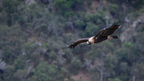 Oxley Wild Rivers National Park - Find Attractions 2