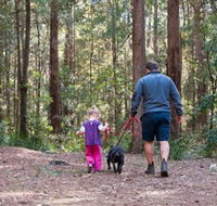 Olney State Forest - Watagan Mountains - Find Attractions