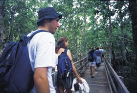 Delaneys Creek QLD Find Attractions