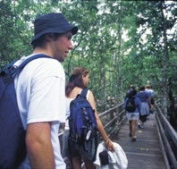 Bellthorpe National Park - Find Attractions