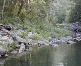 Bellthorpe National Park - Find Attractions 1