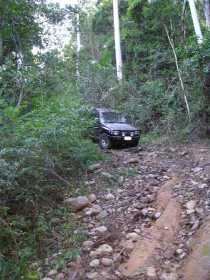 Bellthorpe National Park - Find Attractions 3