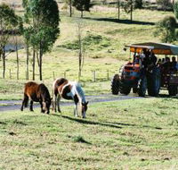 Calmsley Hill City Farm - Find Attractions
