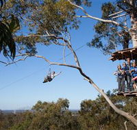 TreeTop Safari - Find Attractions