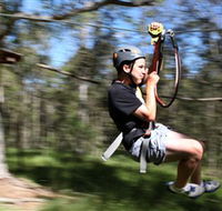 TreeTop Adventure Park Sydney - Find Attractions