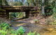 Myrtle Scrub Scenic Drive - thumb 0