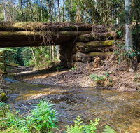 Myrtle Scrub scenic drive - Find Attractions