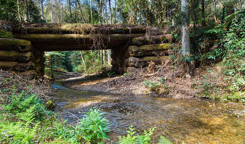 Myrtle Scrub Scenic Drive - Find Attractions 0