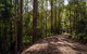 Myrtle Scrub Scenic Drive - thumb 1