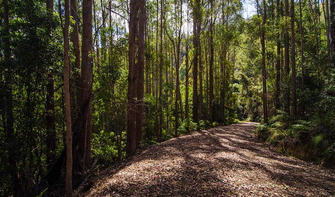 Myrtle Scrub Scenic Drive - Find Attractions 1