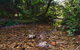 Myrtle Scrub Scenic Drive - thumb 2