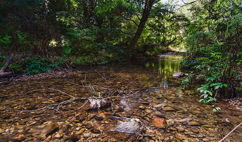 Myrtle Scrub Scenic Drive - Find Attractions 2