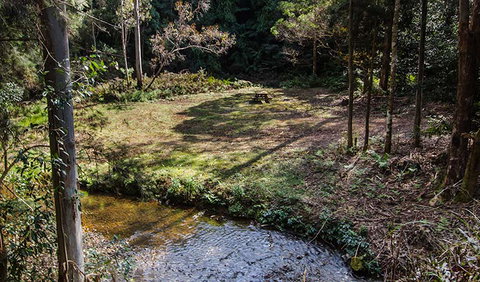 Myrtle Scrub Scenic Drive - Find Attractions 3