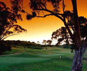 Macarthur Grange Country Club - Find Attractions 0