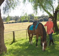 Sugarloaf Horse Centre - Find Attractions