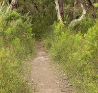 Three Views walking track - Find Attractions