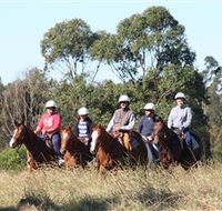 Sydney Trail Riding Centre - Find Attractions