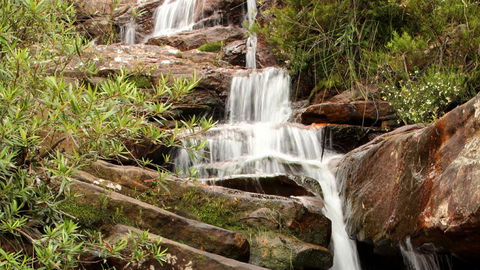 Popran National Park - Find Attractions 1