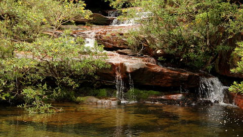 Popran National Park - Find Attractions 2