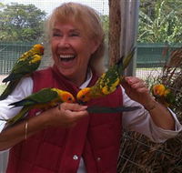 Maleny Botanic Gardens  Bird World - Find Attractions