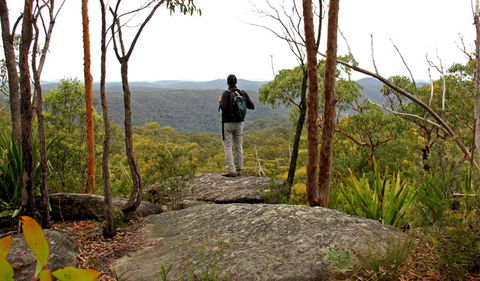 Mount Olive Lookout - Find Attractions 1